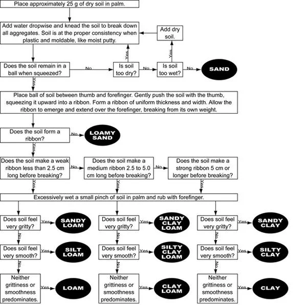 Figure 2 (NC State University)