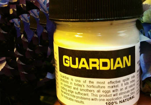 GUARDIAN TESTED POSITIVE FOR ABEMECTIN