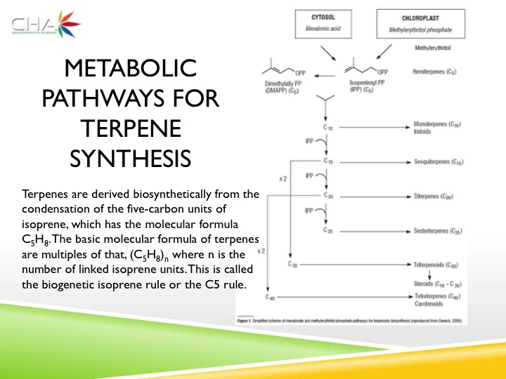 Slide04.jpg