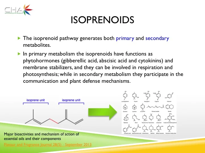 Slide05.jpg