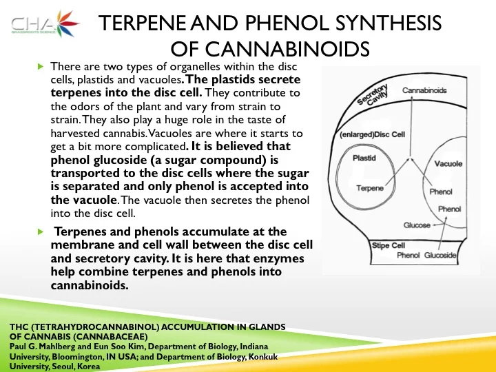 Slide09.jpg