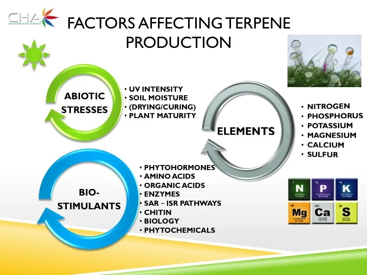 Slide10.jpg