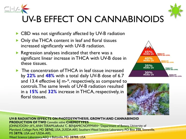 Slide13.jpg