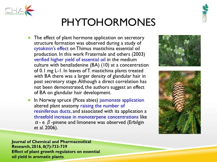 Slide18.jpg