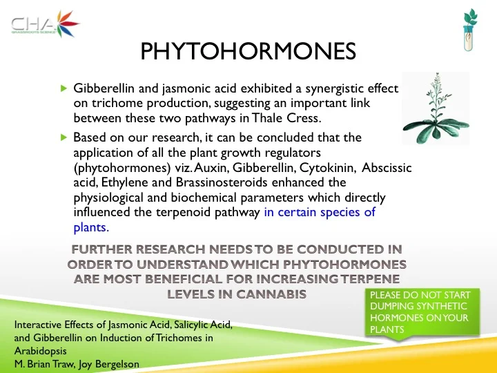 Slide19.jpg