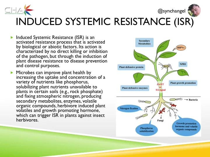Slide29.jpg