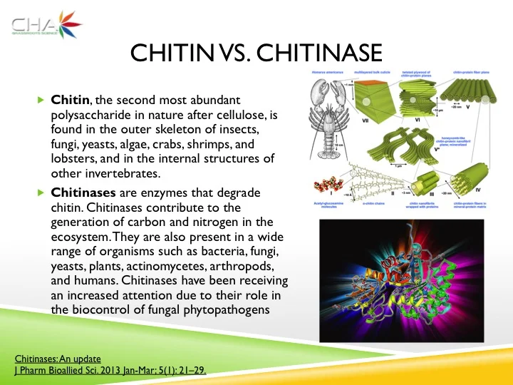Slide32.jpg