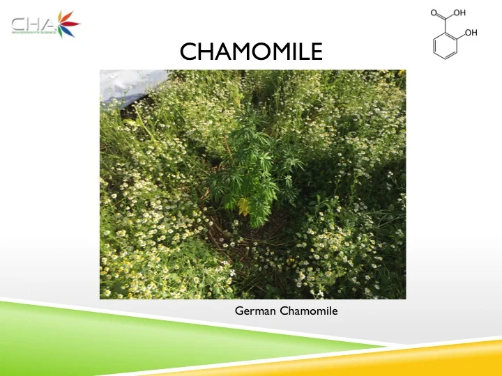 Slide48.jpg