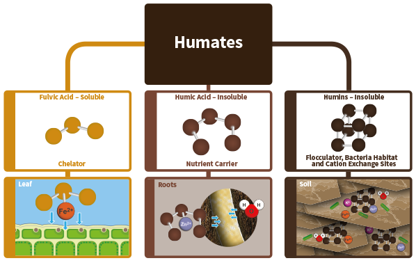 humates.png