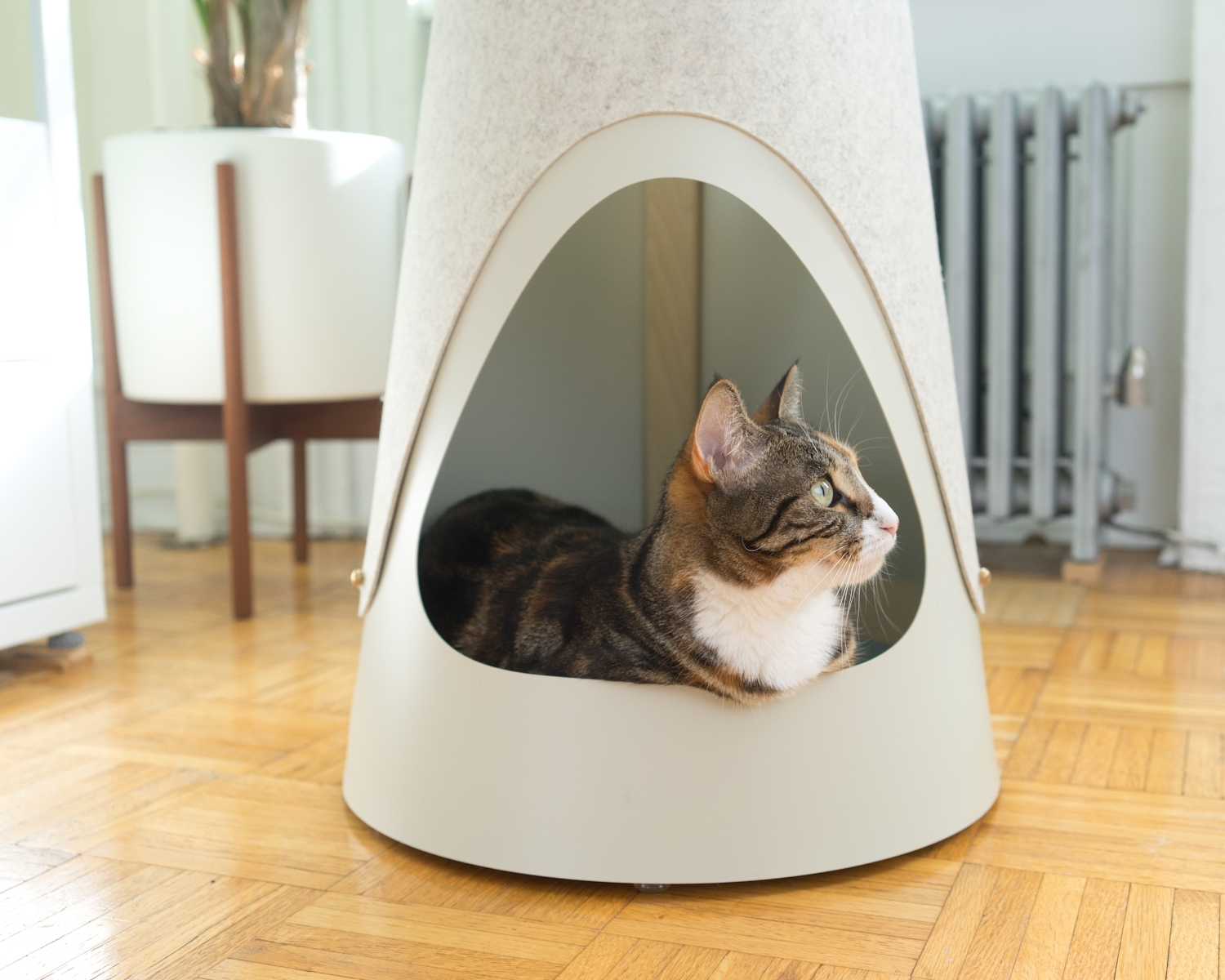 WISKI-Cone-Nook.jpg