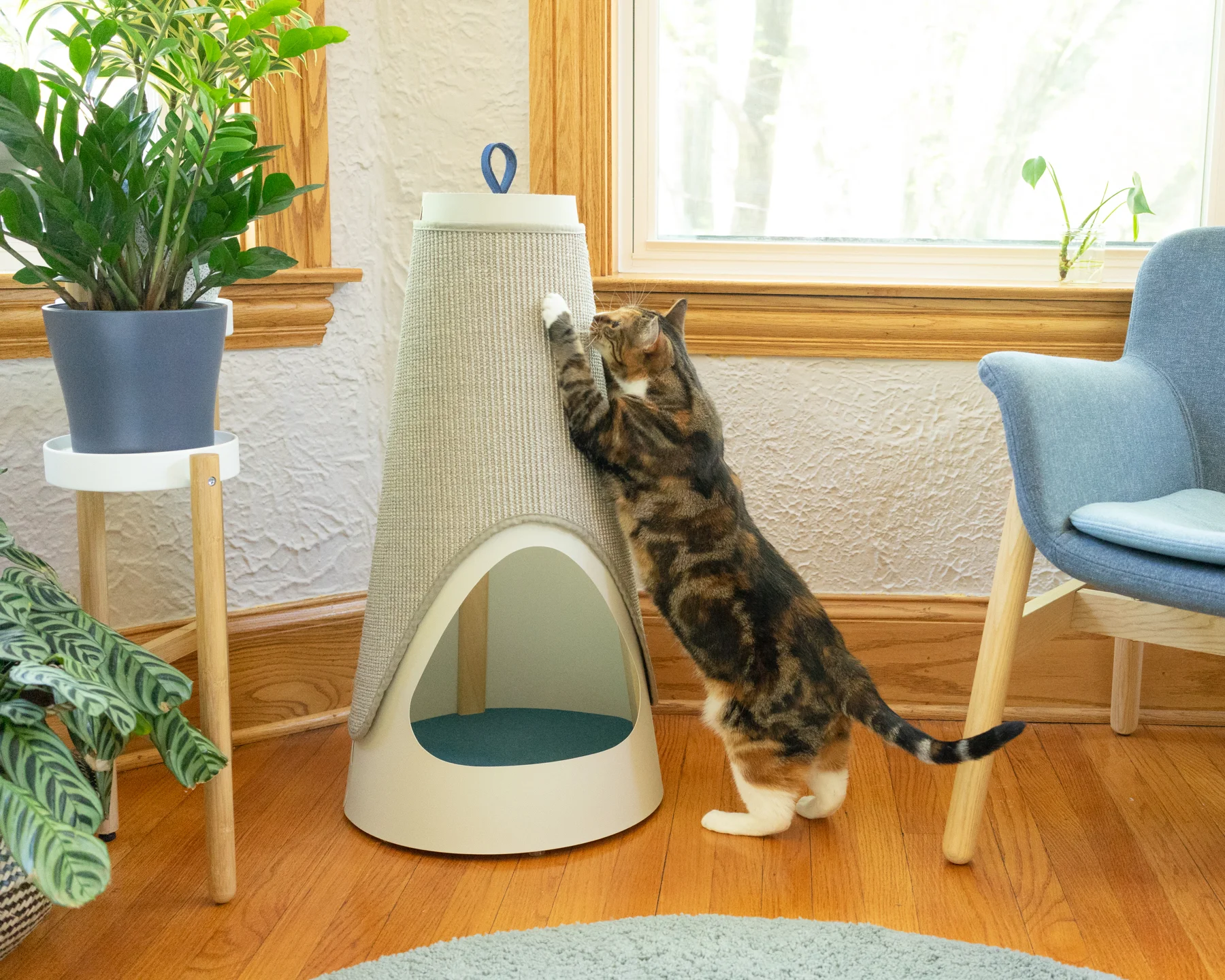 Wiski-Cone-Tall.jpg