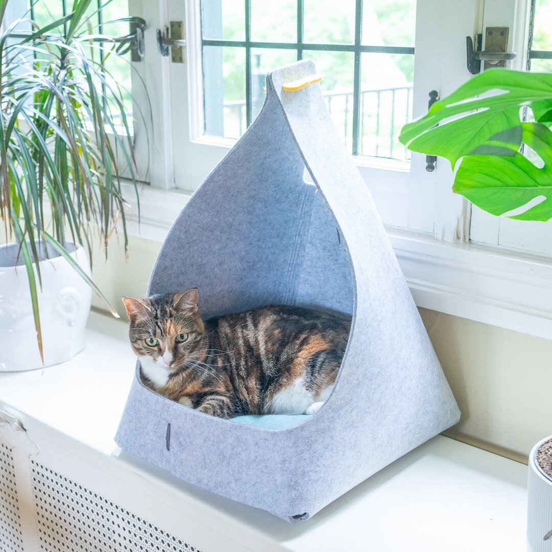 When you take napping seriously, you need a serious nap spot. We got you.
.
.
.
.
.
#wiskicat #cat #catsofinstagram #meow #bestmeow #catlife #catstagram #catsagram #instacat #catlover #catlovers #kitty #cutecat #catdad #catmom #catphoto #catfurniture