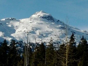 Adaptive Engineering