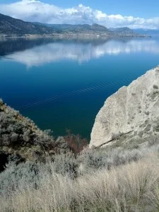 Networks – What Me Worry?