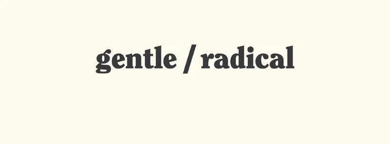 Gentle/Radical, an exciting grassroots forum based in Cardiff