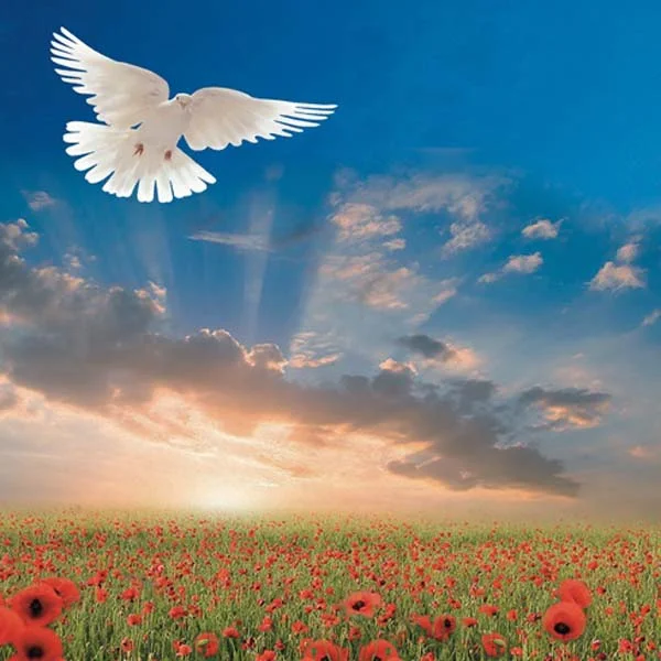 Sir Karl Jenkins: The Armed Man plays St David's Hall as part of The Welsh Proms 2018