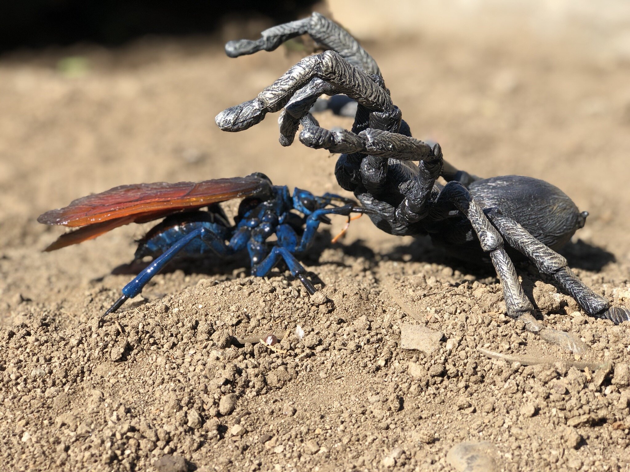  Stage one of a battle between a Tarantula Hawk Wasp and Tarantula. Sculpted, Molded and Painted for Aliso Woods and Canyon Park in Orange County, CA 