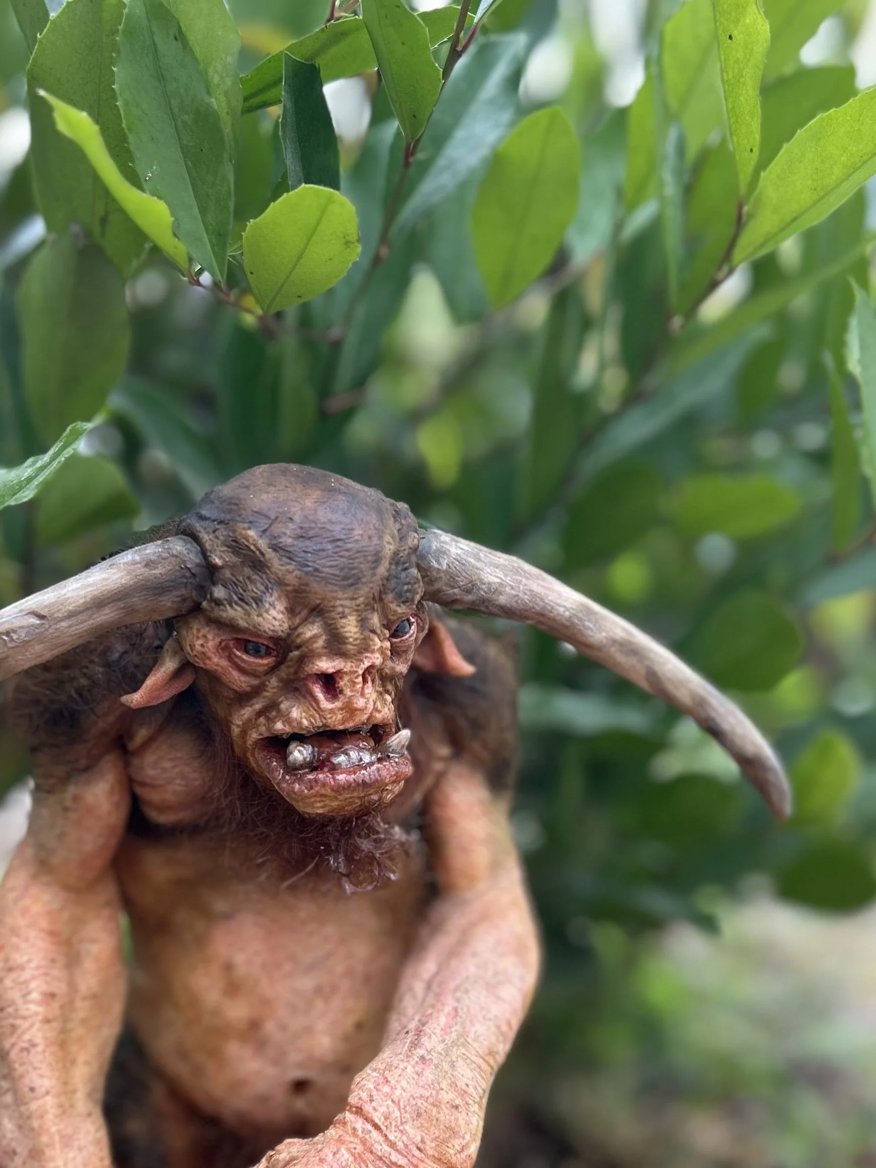 Troll