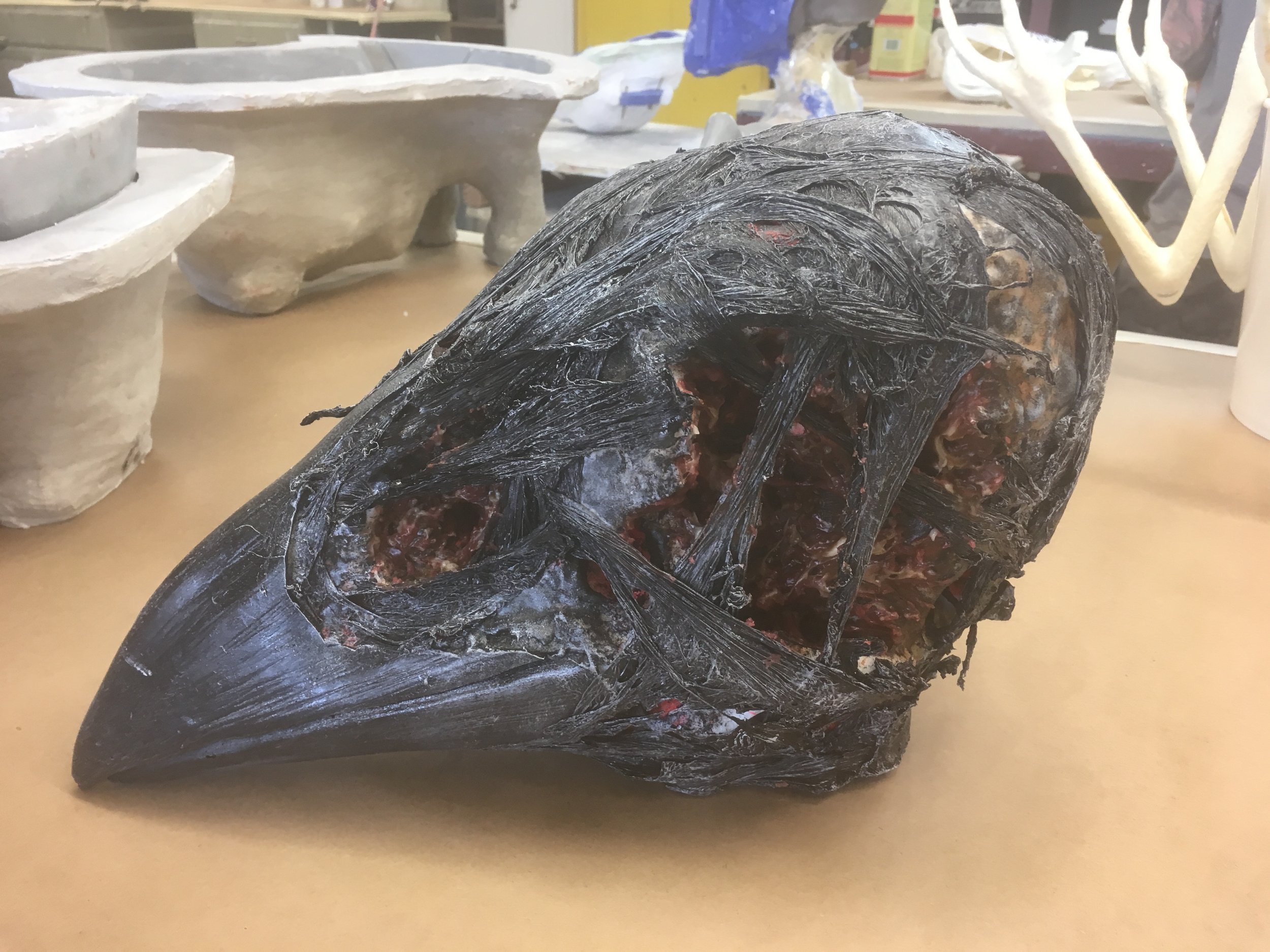  Human sized desiccated crow head for Stan against Evil. 