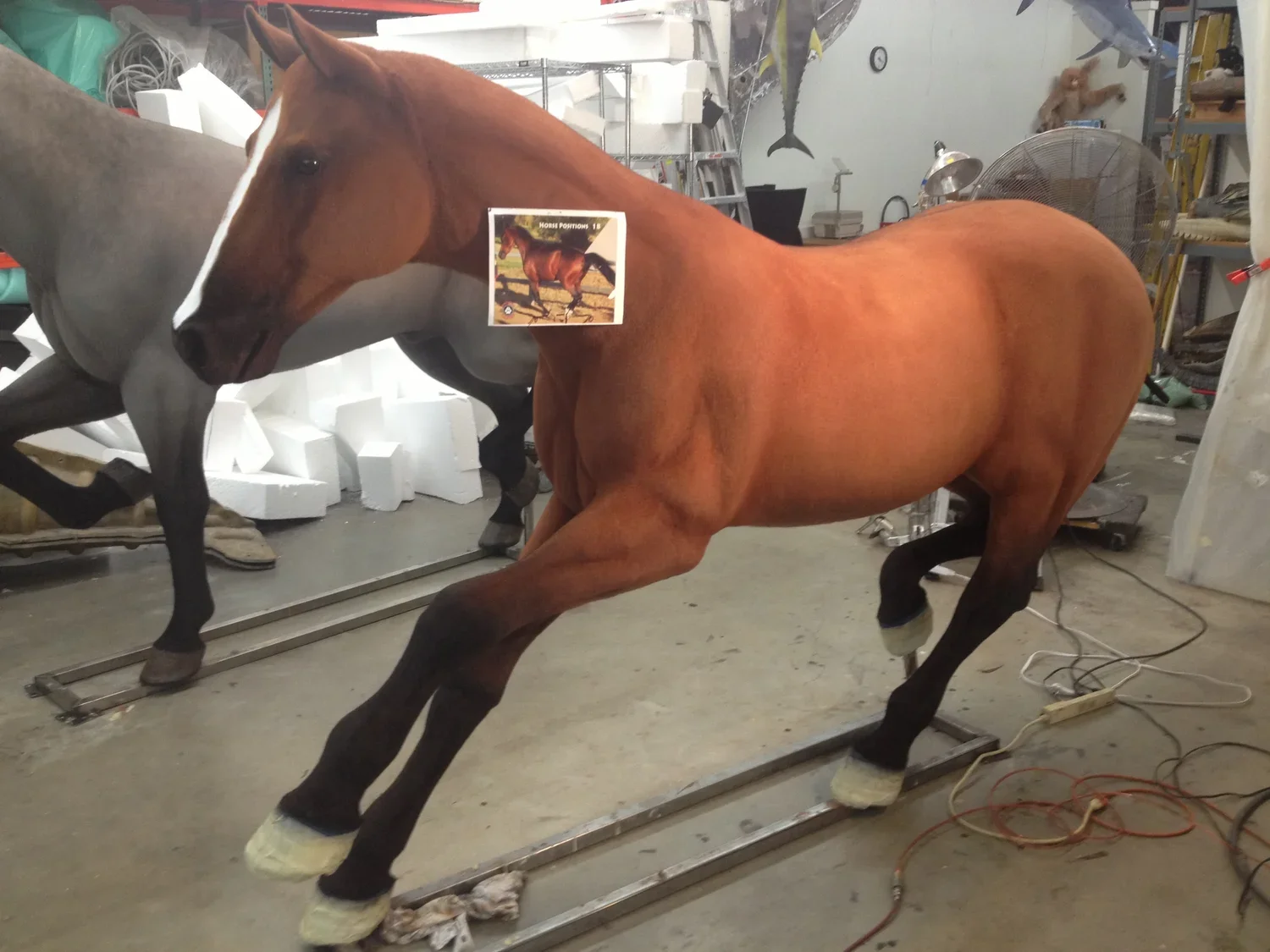 horse.webp