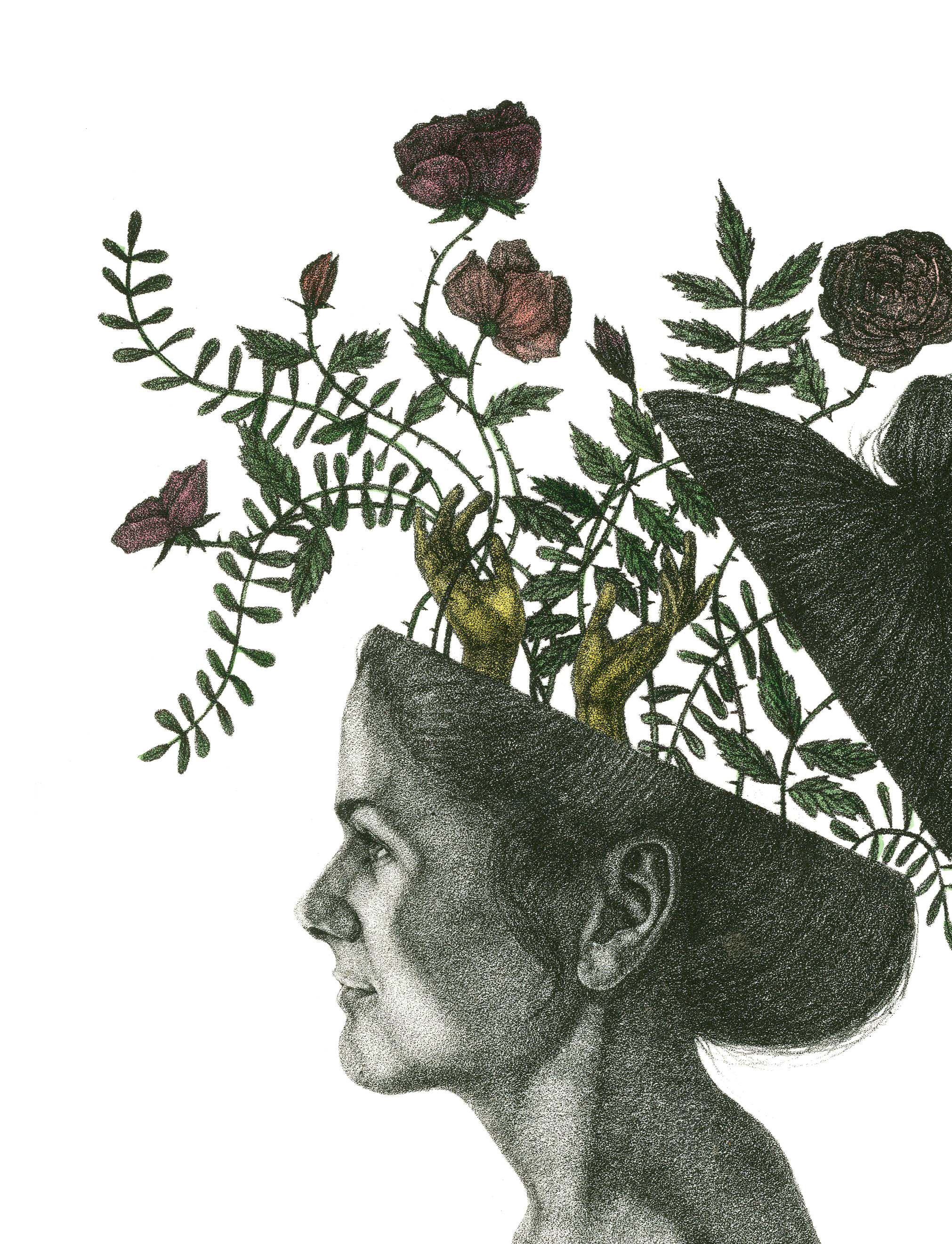Flora