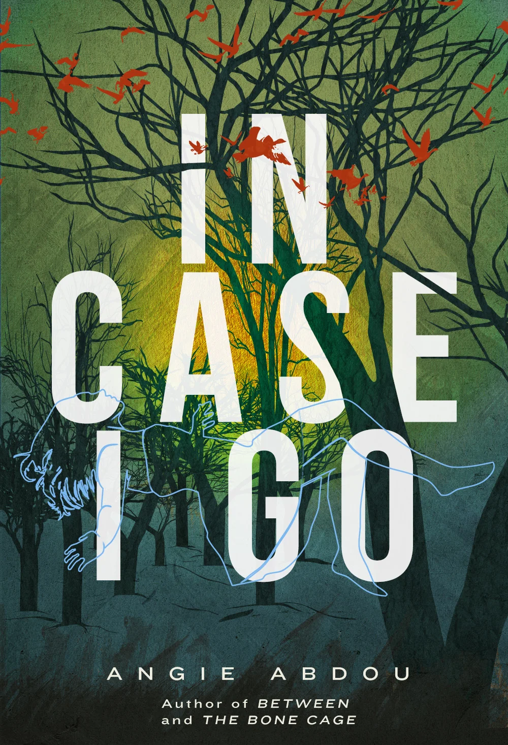Angie Abdou. In Case I Go . Arsenal Pulp Press. $17.95, 272 pp., ISBN: 978-1551527031