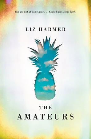 Liz Harmer. The Amateurs . Knopf Canada. $32.95, 336 pp., ISBN: 9780345811240