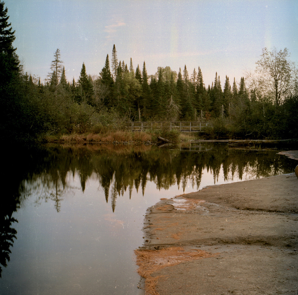 Algonquin