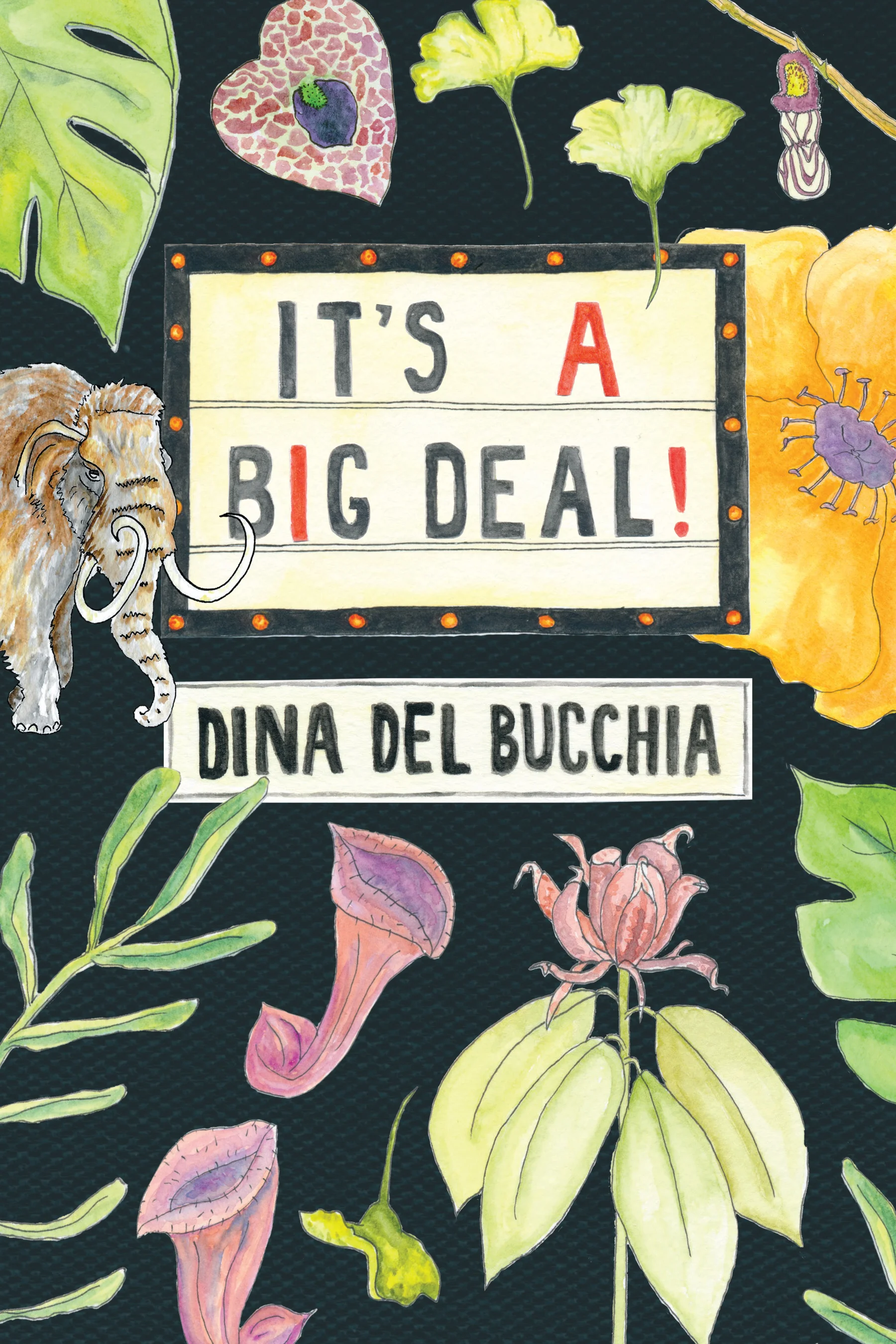 Dina Del Bucchia. It’s a Big Deal. Talonbooks. $16.95 128 pp., ISBN: 9781772012255