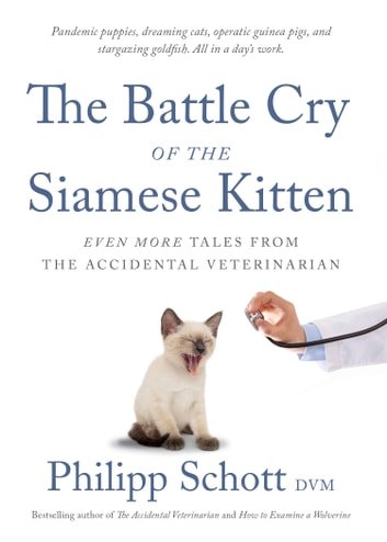 the-battle-cry-of-the-siamese-kitten.jpg
