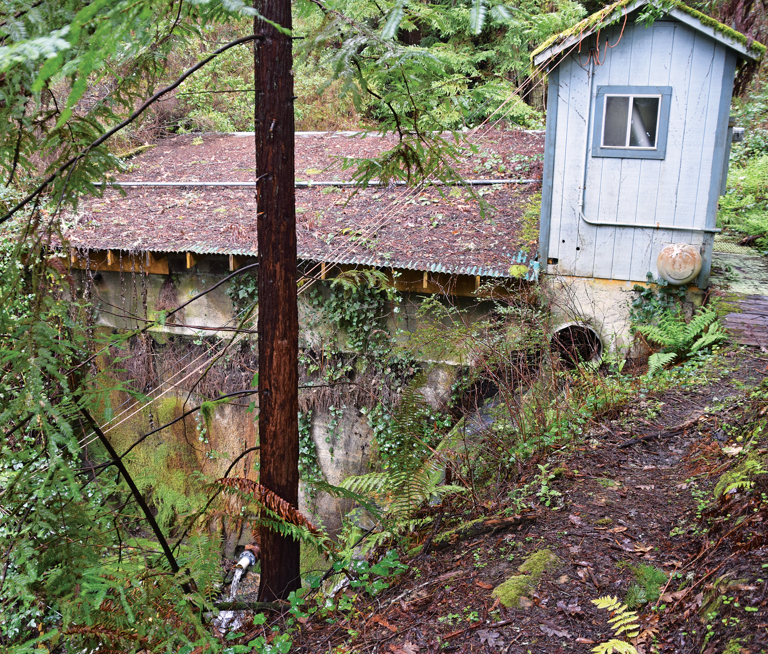 The old infrastructure at the Redway Community Services District's unnamed spring. (Photo by Sandy Feretto)