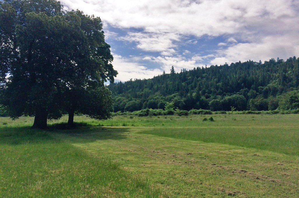 The Garberville Sanitary District will hold a special meeting on June 21 to review comments on the potential impacts of the Southern Humboldt Community Park's proposed rezone, which includes additional water uses such as new sports fields. (Photo via Southern Humboldt Community Park)