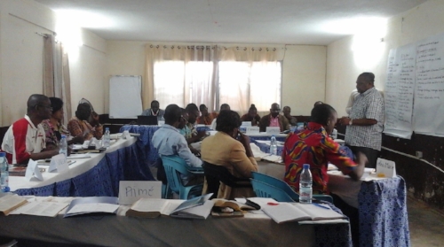 Emmanuel leading a Training of Trainers session ~ Yaounde, Cameron