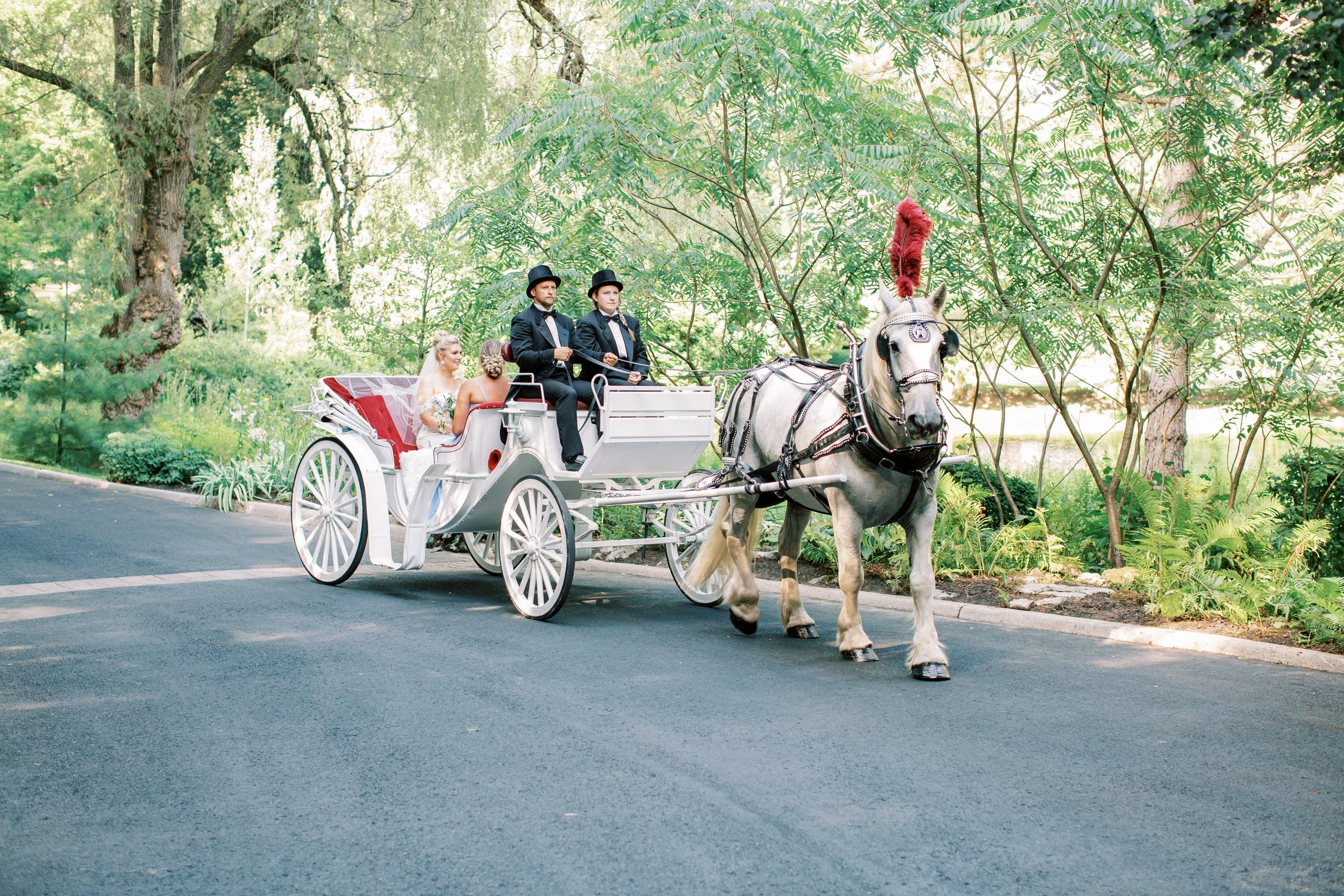 outdoor wedding venues in the GTA  backyard wedding blue, green and cream wedding colours