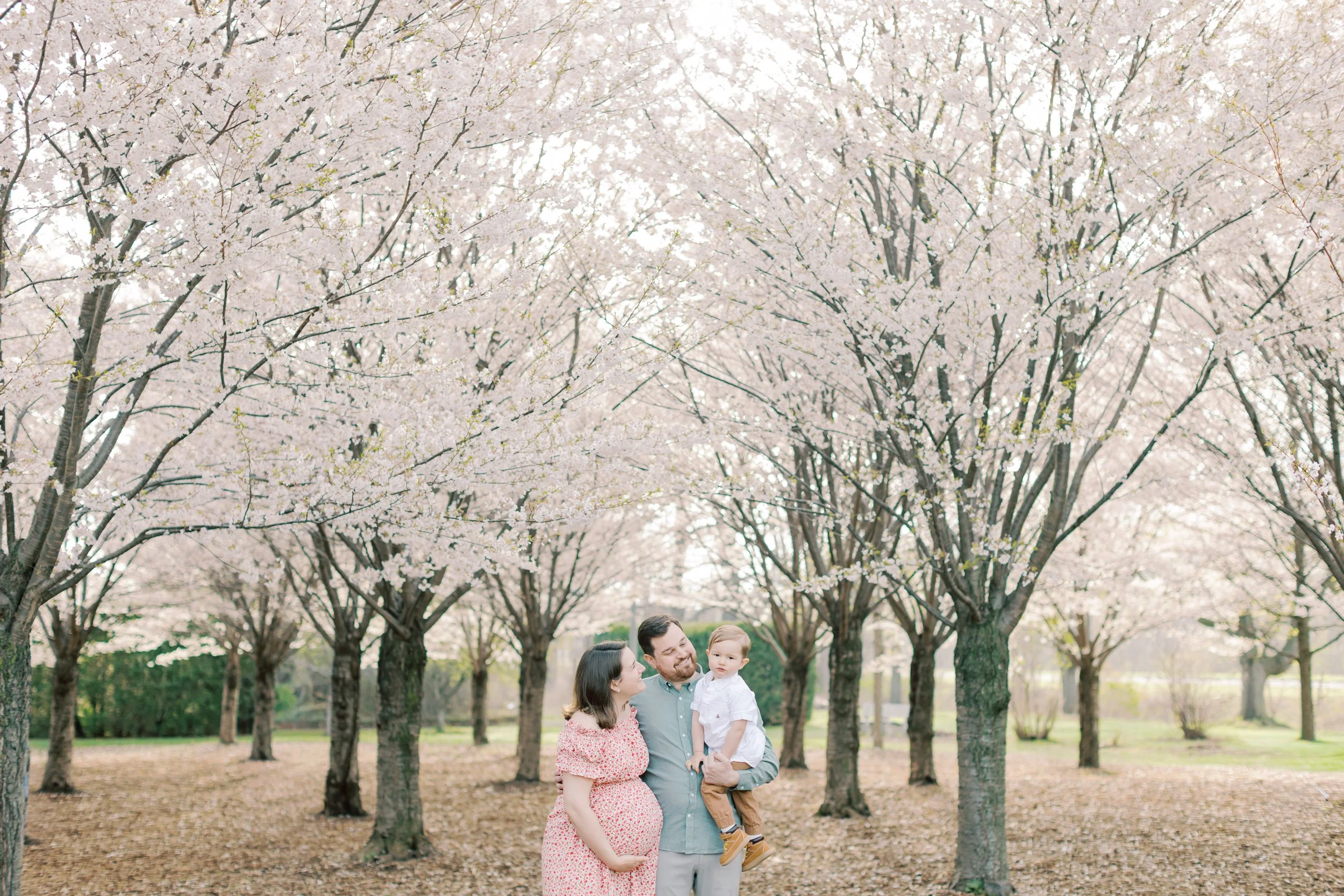 A Dreamy Cherry Blossom Maternity Session in Burlington Ontario