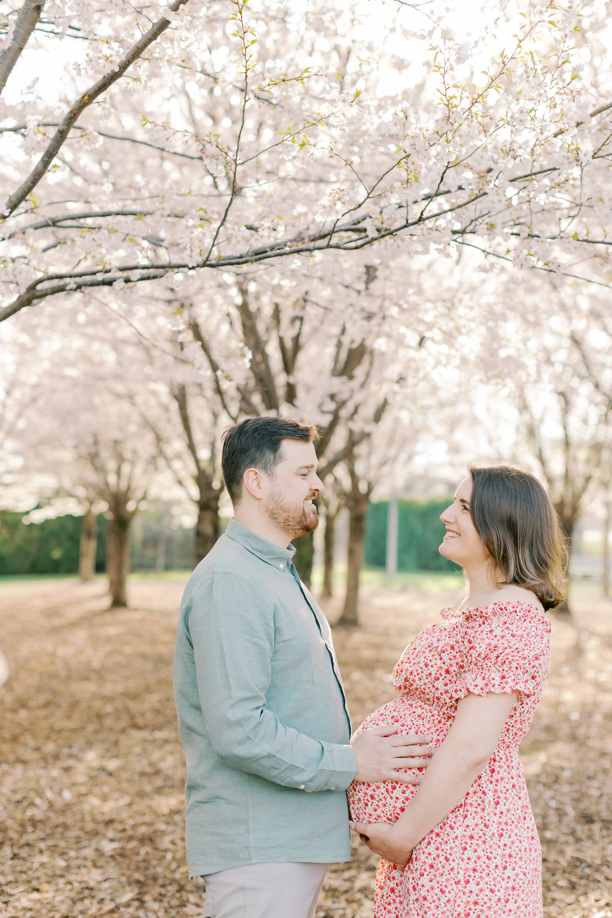 A pregnant mother and her toddler son under cherry blossom trees during a maternity session in Burlington, Ontario.