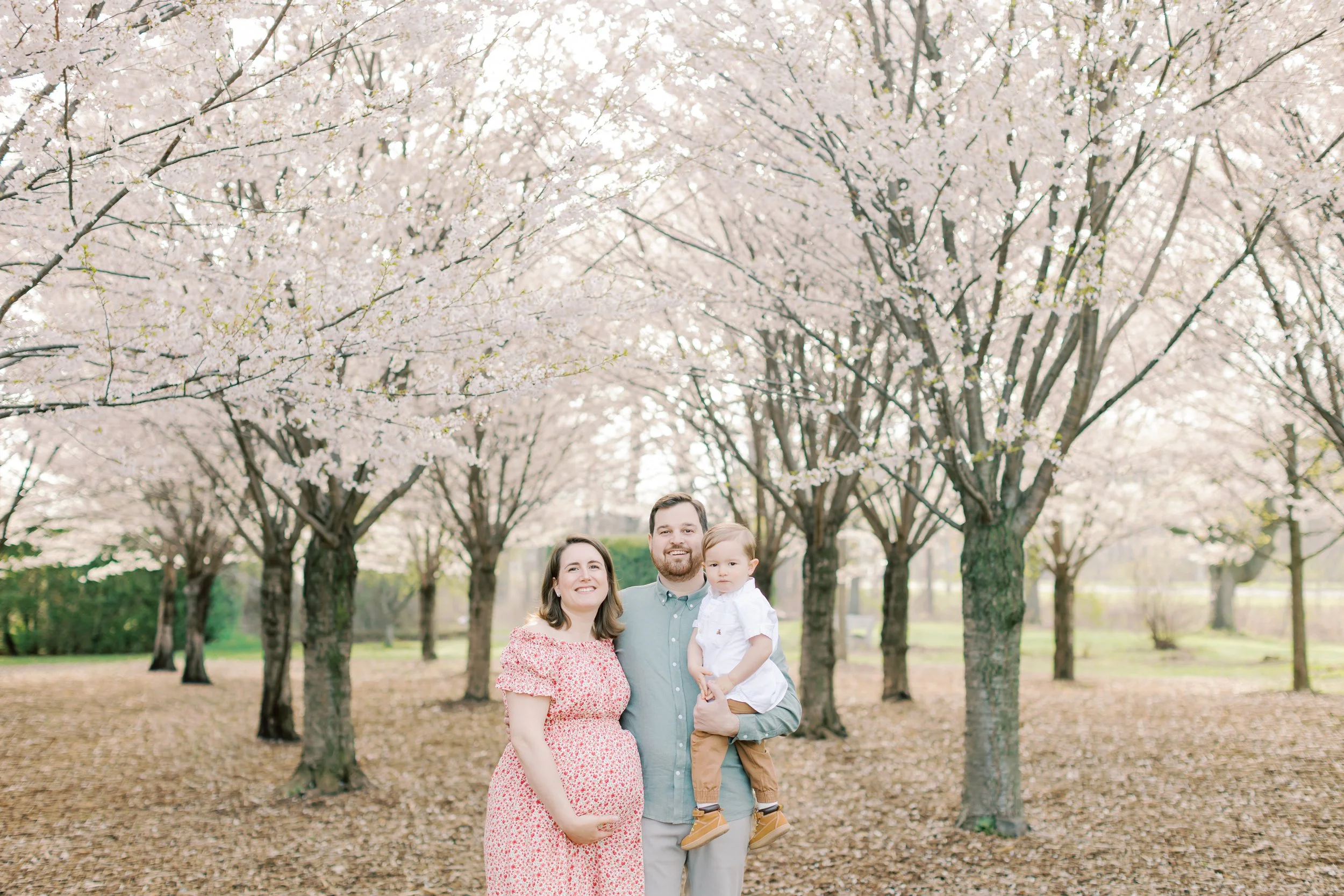 A pregnant mother and her toddler son under cherry blossom trees during a maternity session in Burlington, Ontario.