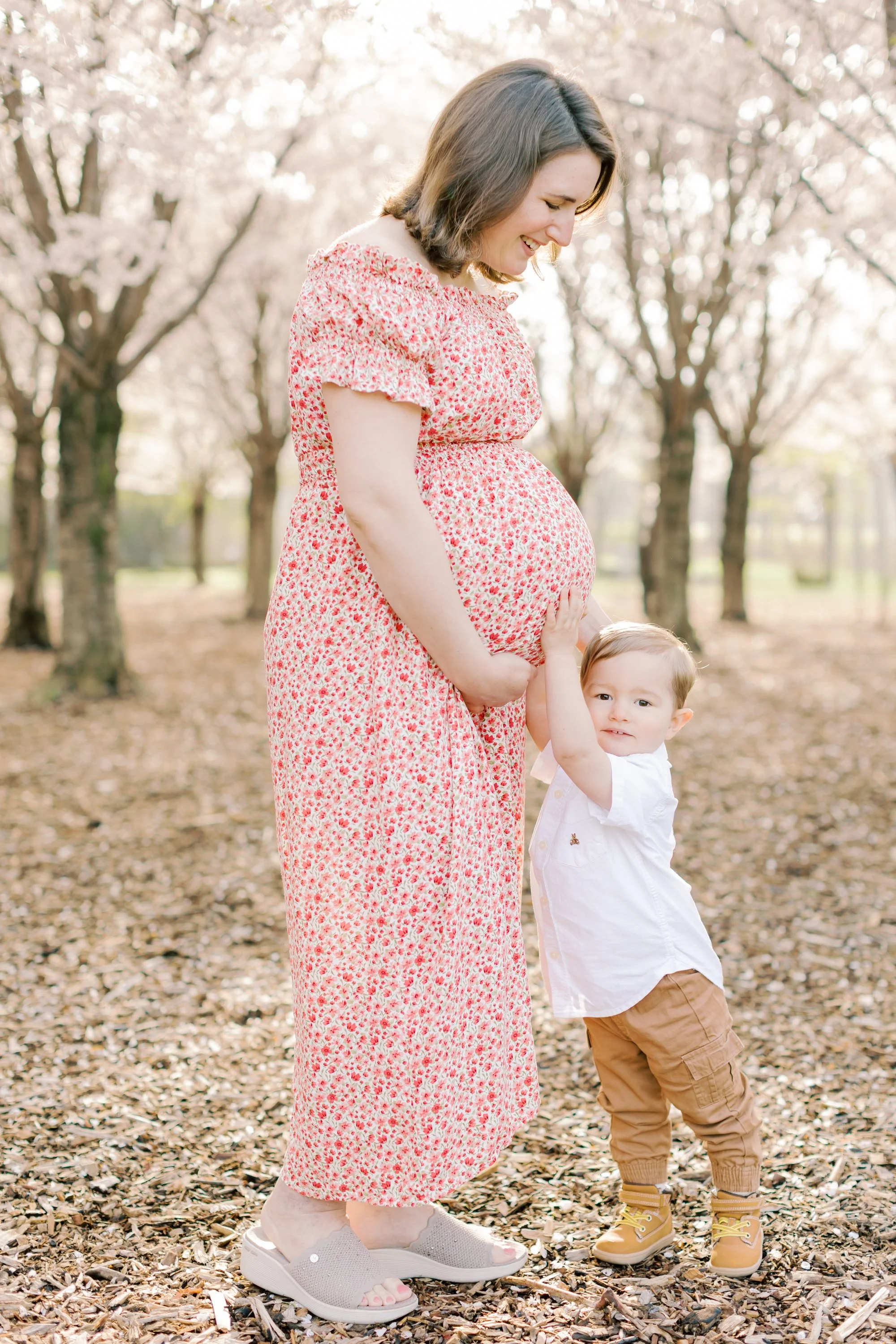 A pregnant mother and her toddler son under cherry blossom trees during a maternity session in Burlington, Ontario.