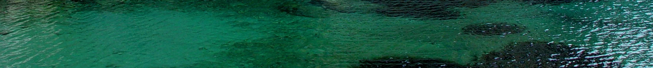 lagoon-crop.jpg