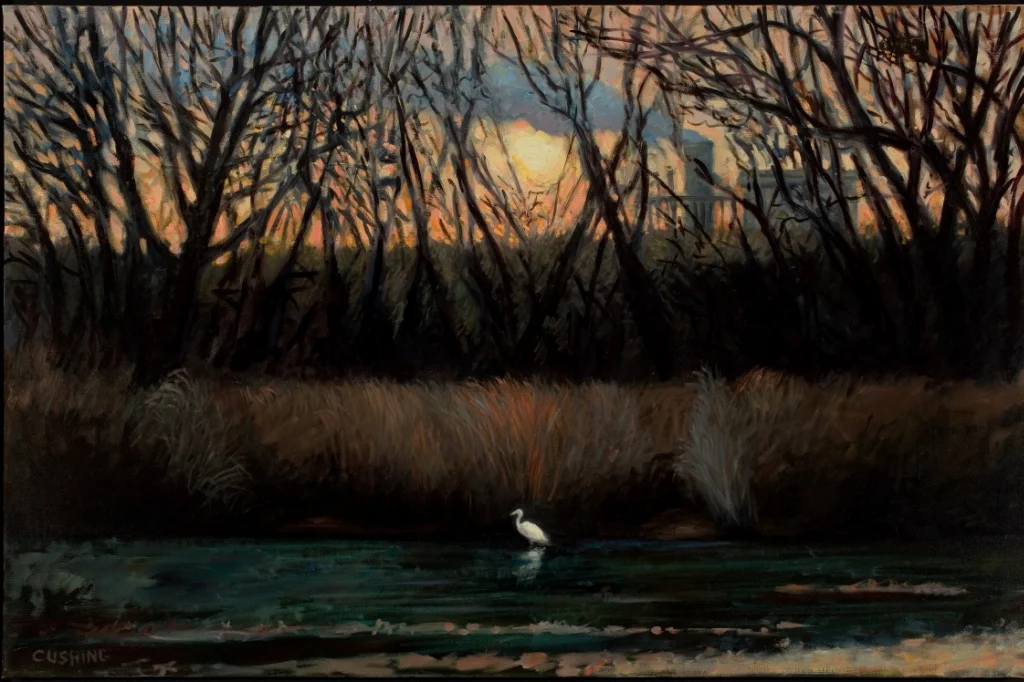 10 images photgraphed July 2009 013.jpg