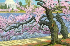 washington cherry blossoms tidal basin.jpg