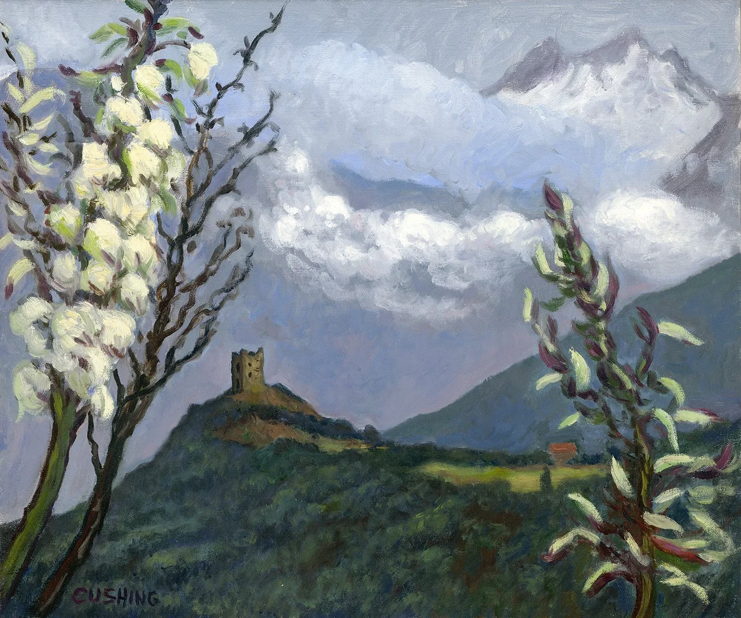 ITALY 2025 Cushing.366-Artwork-web.webp