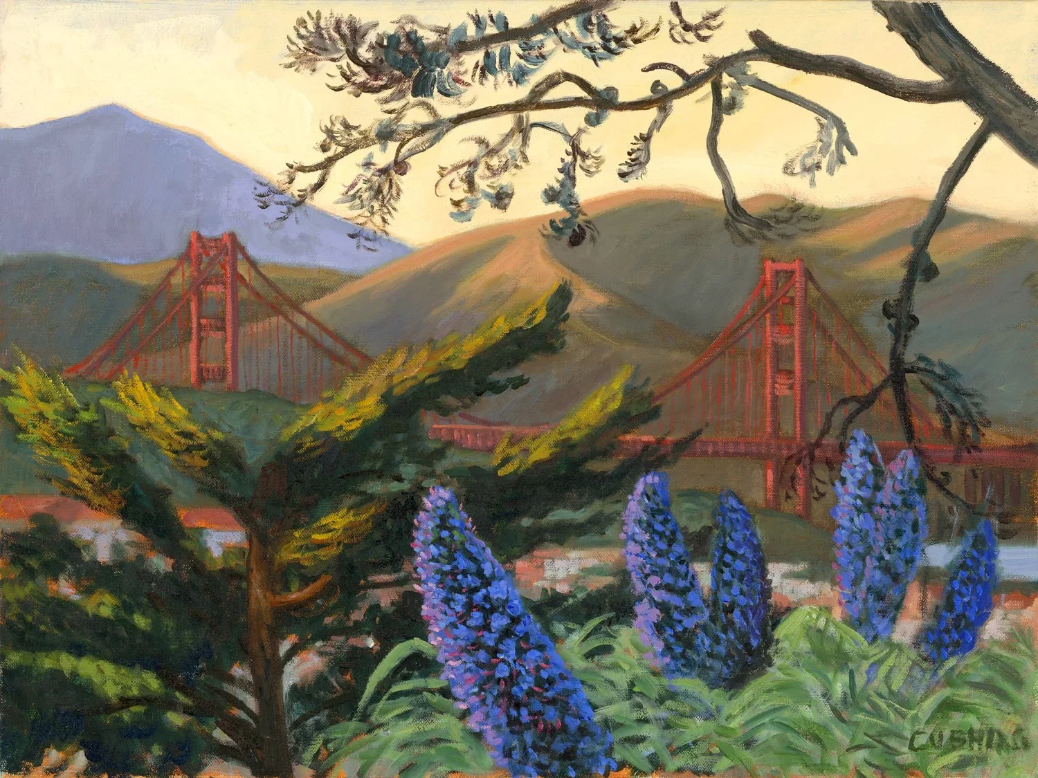 SF Cushing.308-Artwork-web.webp