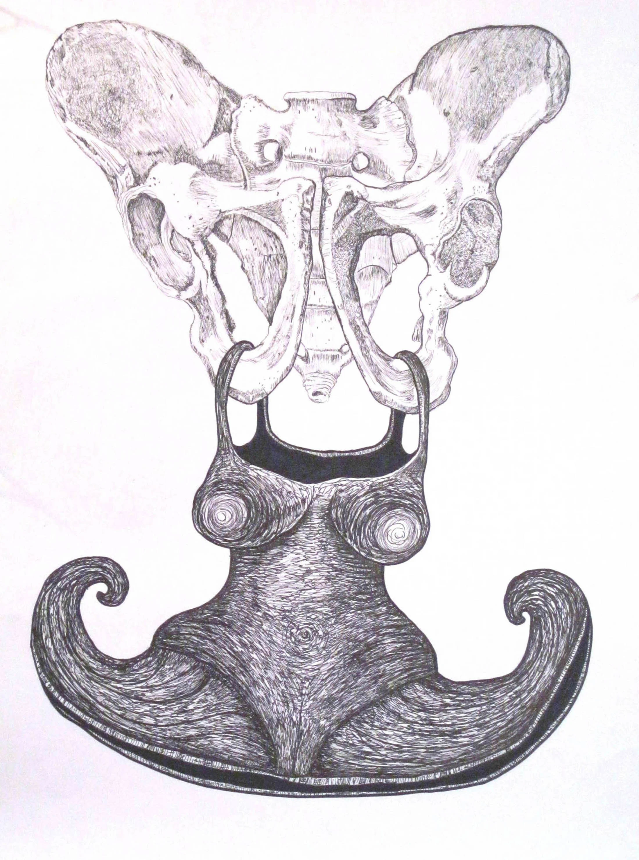 Hips-ink on paper-18 by 24"-2008
