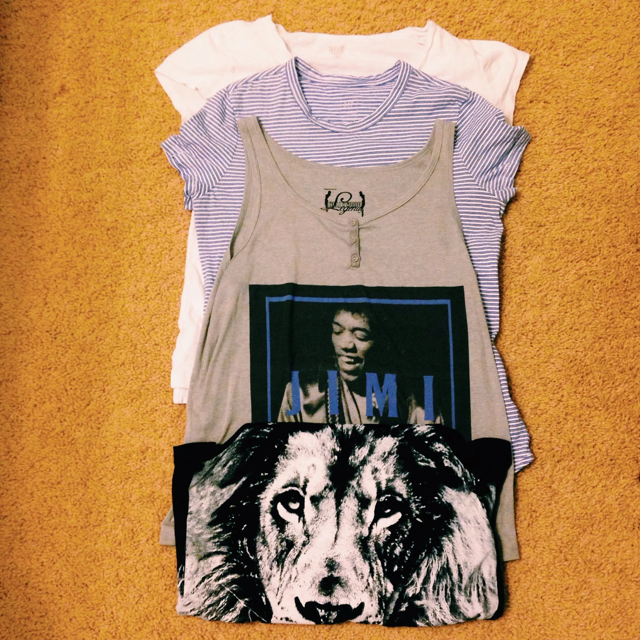 | White V-Neck: Had it Forever | Blue &amp; White Striped Tee: GAP | Jimi Hendrix Sleeveless Tank: Target | Lion Sleeveless Tank: Hillsong |