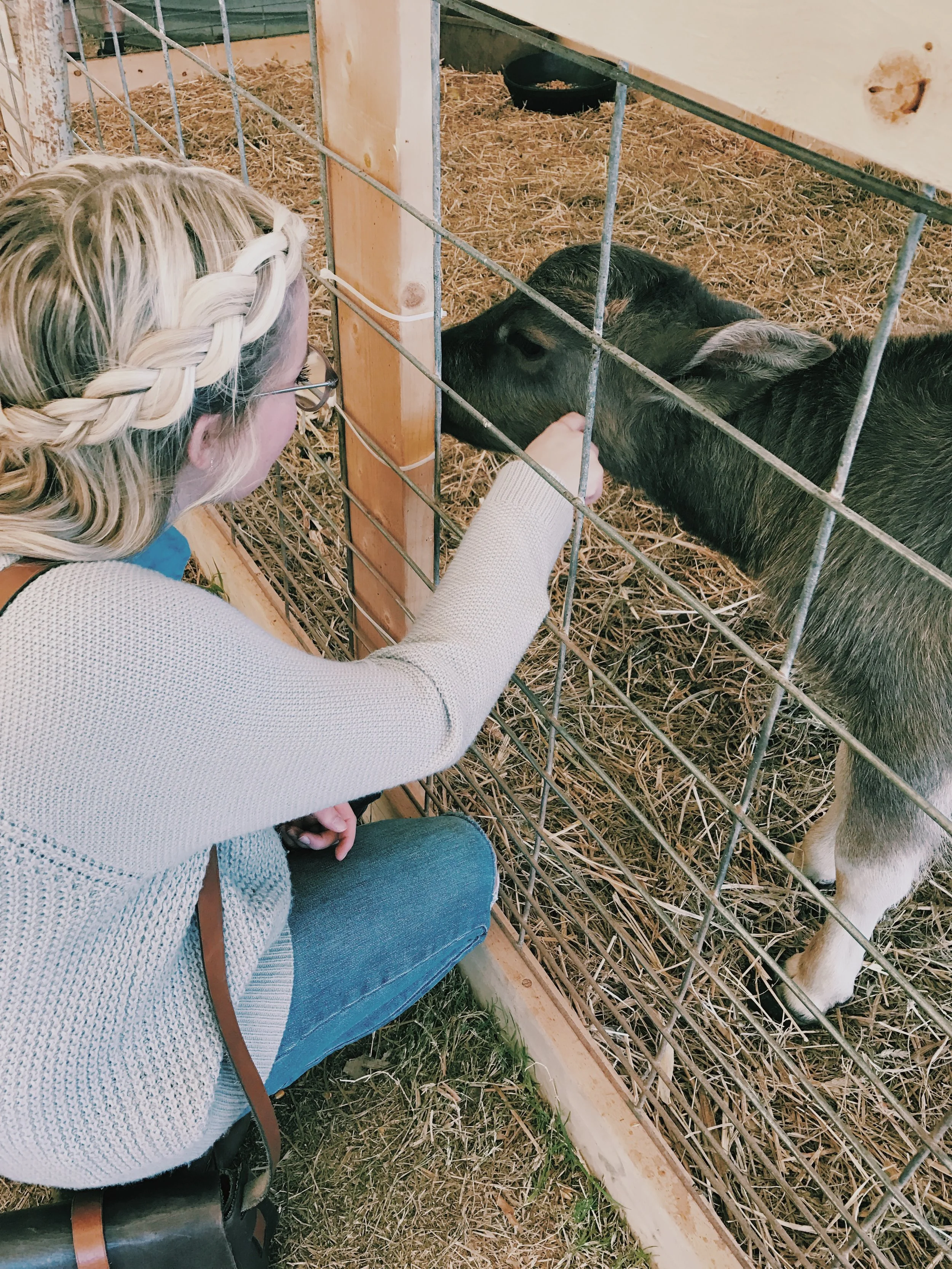 Petting zoos will never get old. Never.&nbsp;