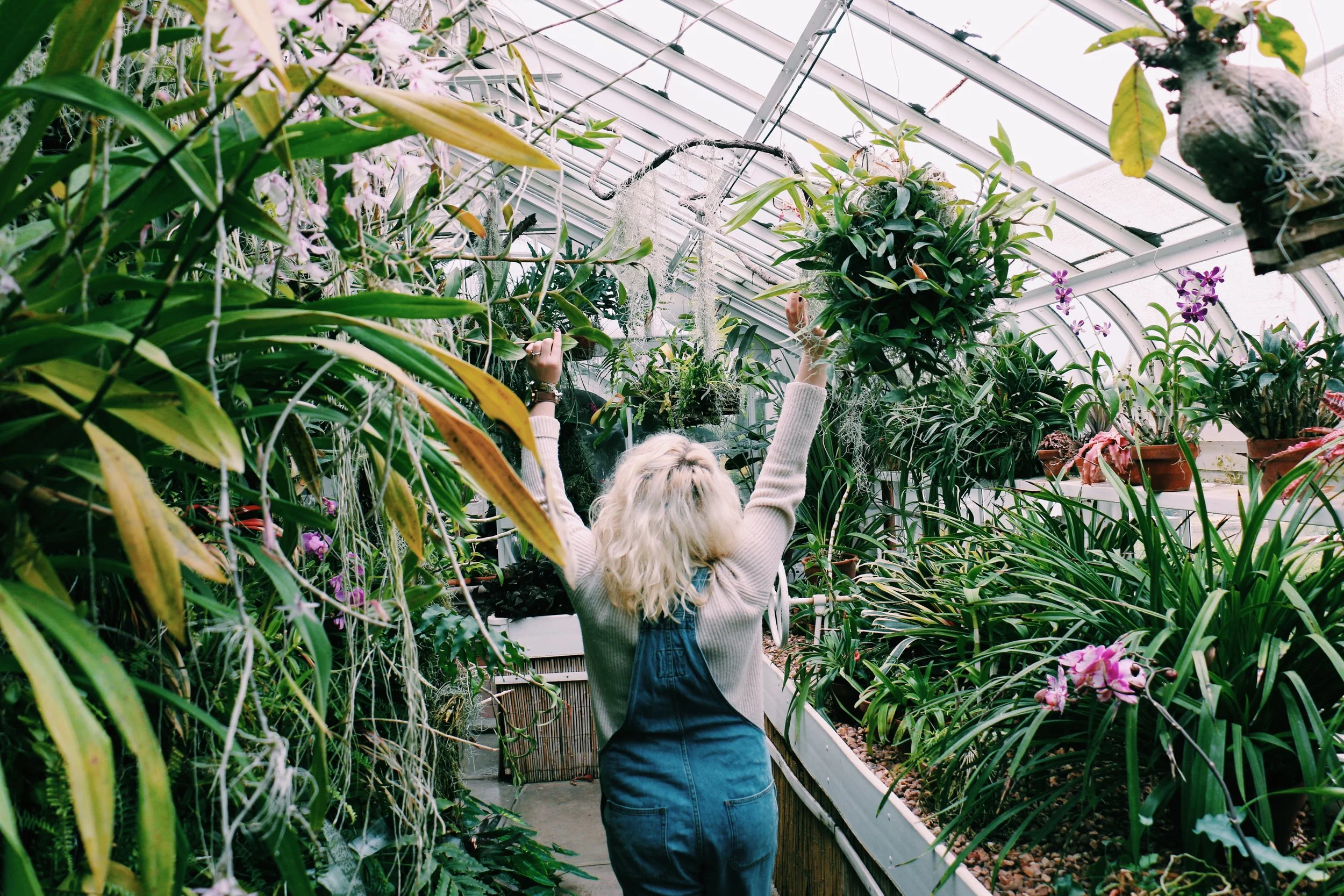 greenhouse-pic.jpg