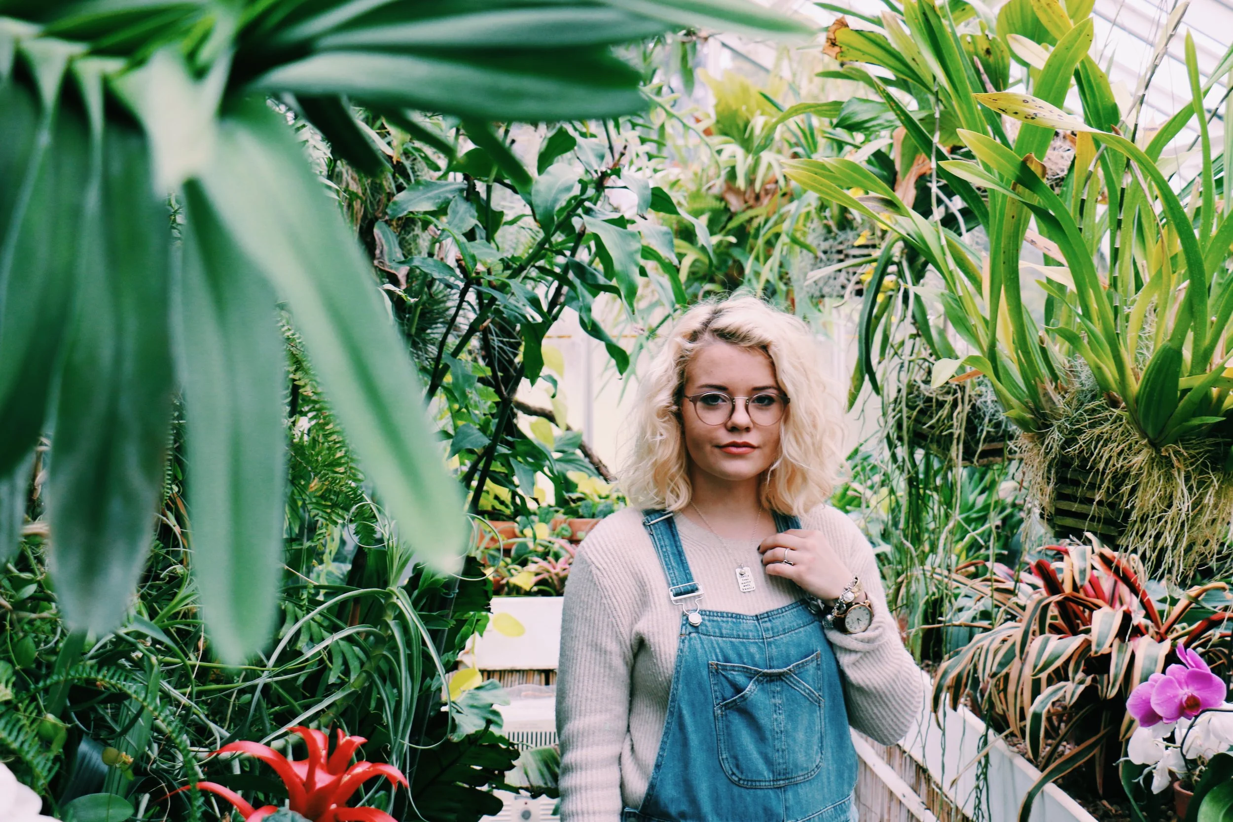 A Rainy Day at the Greenhouse 