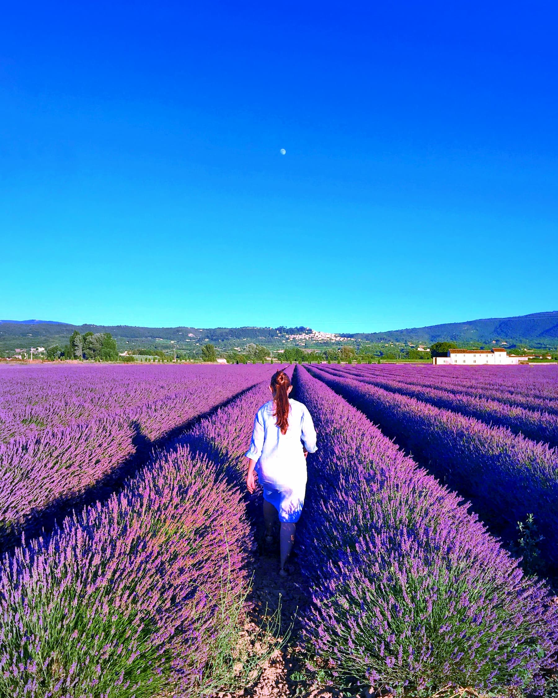 provence.jpg