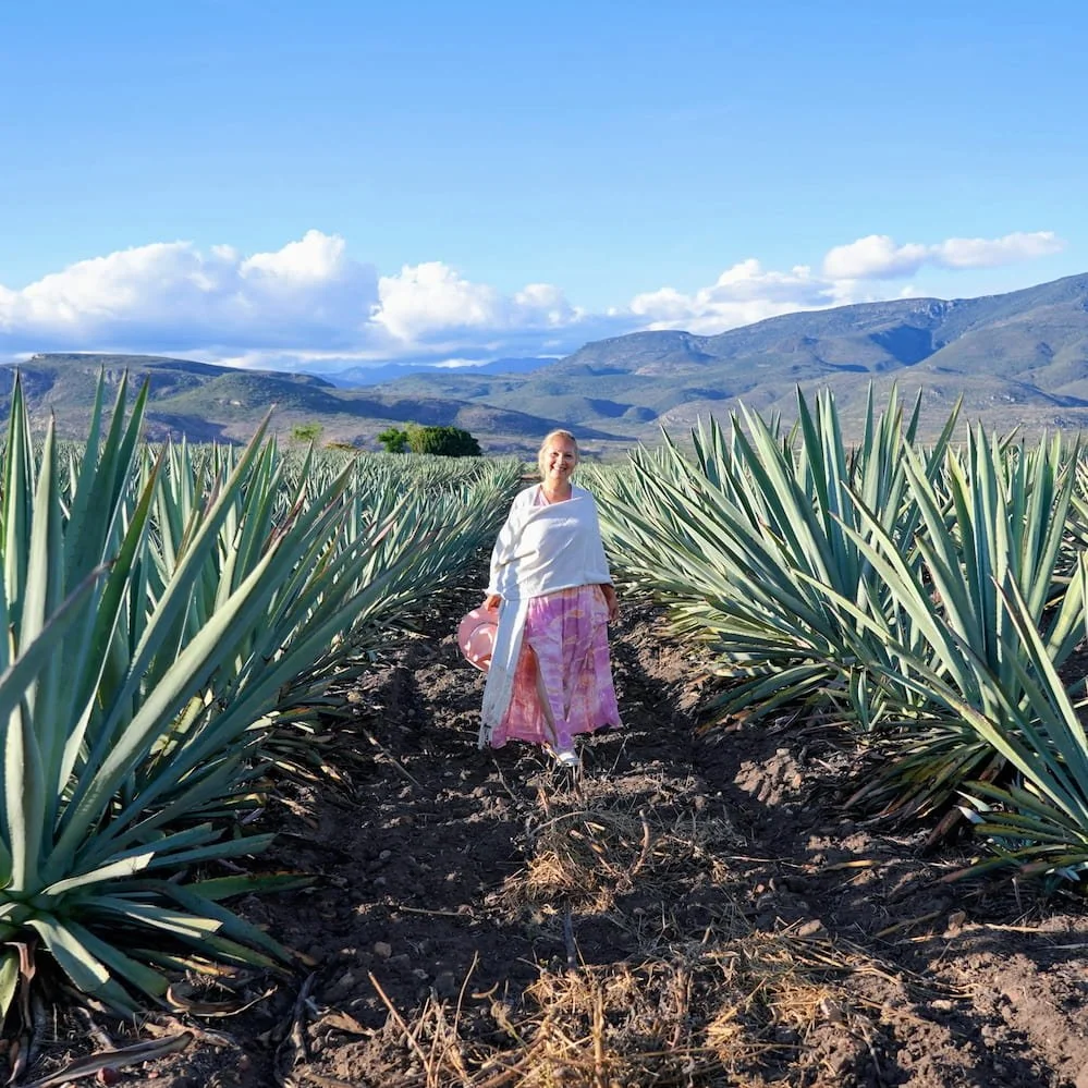 oaxaca-menu.jpg